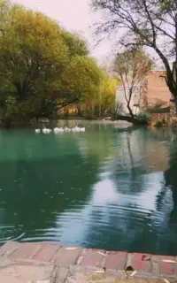 ۱۹۰متر زمین در شهر شاهنجرین توابع همدان