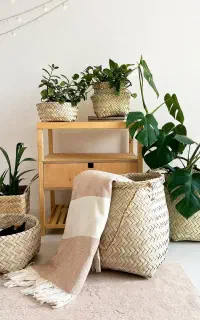 فروش عمده سبد حصیری