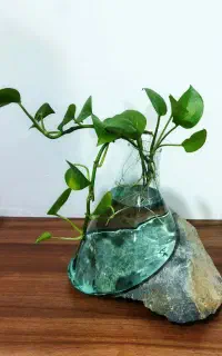 گلدان سنگ و شیشه