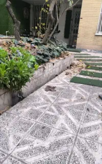 اجاره لاین و اتاق در سالن زیبایی