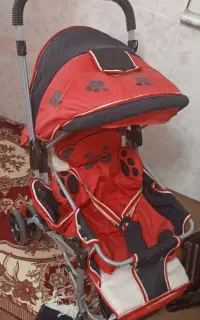 قرمز دلیجان