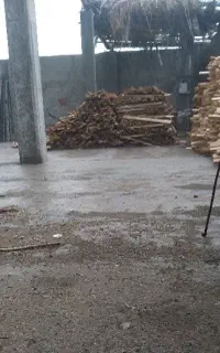 نیاز به شاگرد