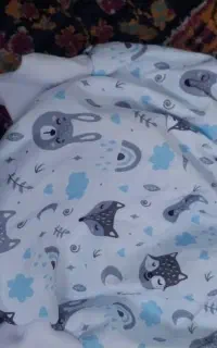 شورت آموزشی