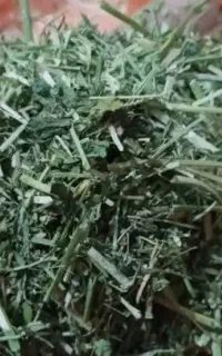 یونجه خورد شده