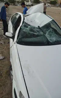 سمند تصادفی
