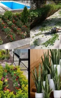باغبانی گلکاری هرس سمپاشی خاک گلدون باغبان