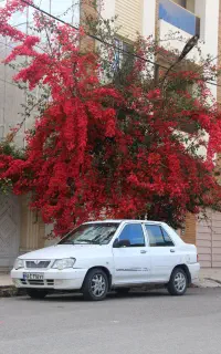 132سفید مدل 95 دوگانه