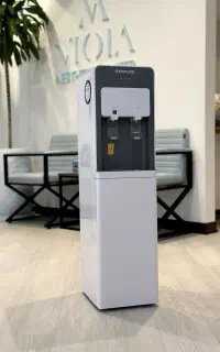 آبسردکن