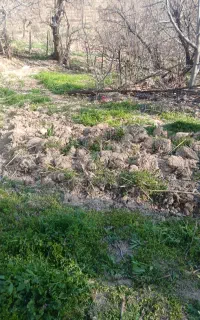 زمین مسکونی