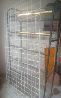 استند  وحبوبات