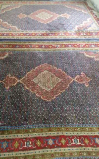 فرش 6 متری دستبافت طرح ماهی بیجار