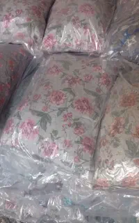 بالشت حراجی