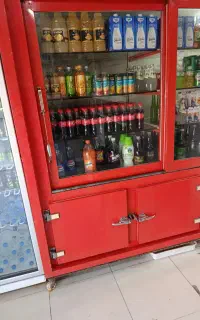 یخچال استاده