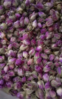 غنچه زییای گل
