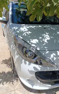۲۰۷ پانا دنده