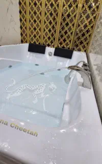 وان و جکوزی ۲ نفره 120×170 (۵ سال ضمانت CHEETAH)