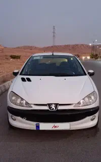 ۲۰۶تیپ۲
