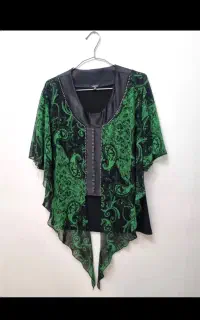 دو عد شومیزمجلسی