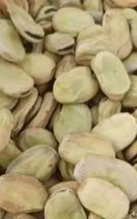 باقلا خشک