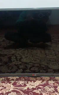 تلویزیون LG سالم و ترتمیز در حد نو