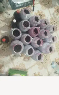 شاه توت تازه و آب شاه توت تازه
