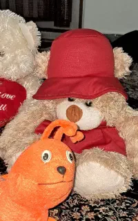 عروسک های خارجی نو