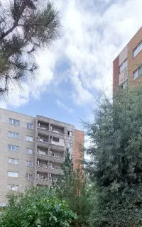 مدیر اجرایی یک مجتمع مسکونی