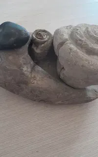 فسیل