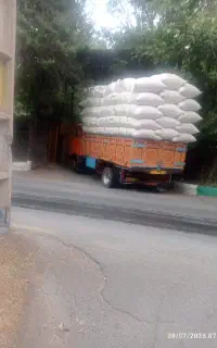 کاه ویونجه
