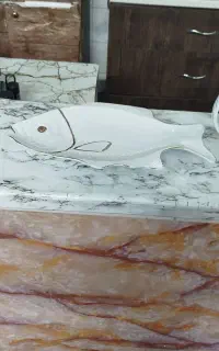 دیس ماهی نسبتا بزرگ چینی
