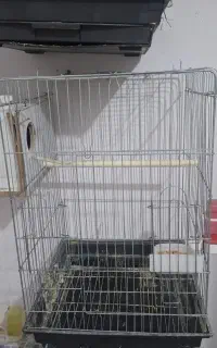 قفس پرنده