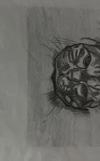 نقاشی و طراحی