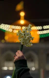 تور مشهد