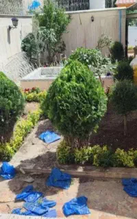خدمات باغبانی تعویض خاک گلدون گل کاری صفرتاصد