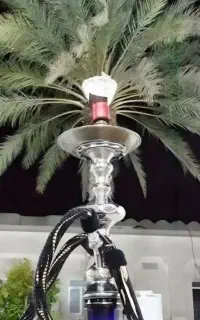 راهنمای