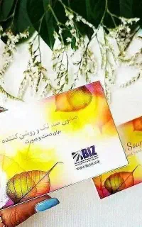 صابون ضدلک استین