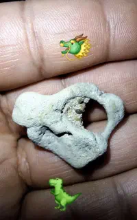 انواع مهر کلکسیونی