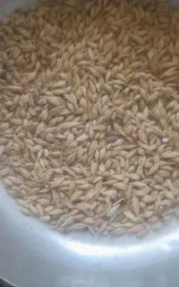 جوو محلی درجه یک شرطی
