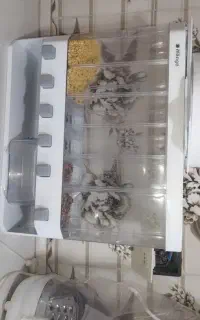 جا حبوباتی برند mango
