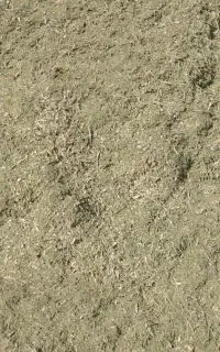 فروش کاه گندم کردستان