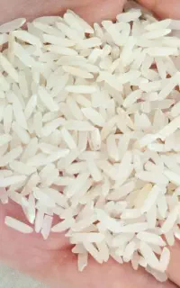 شارژ مجدد برنج پرمحصول سراوان