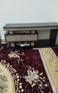 زیر تلویزیونی