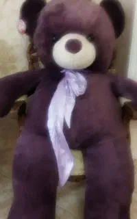 عروسک خرسی کاملا نو