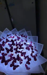 دسته گل پروانه ریسه دار