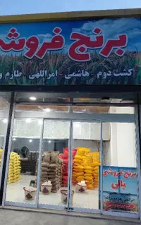 برنج کشت اول و دوم هاشمی و بینام و امرالهی