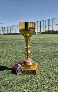 باشگاه فوتبال  ستارگان پارسی