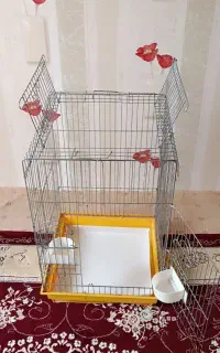 قفس پرنده