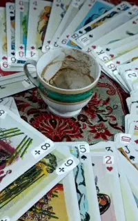 قهوه تاروت امارات