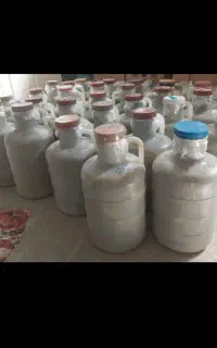 خیارشور دبه ای