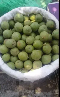 گردو با پوست